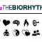 The Biorhythm Review