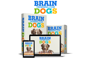 Brain Training For Dogs Review