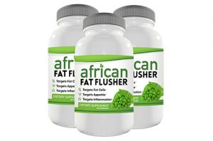 Fat Flusher Diet Review